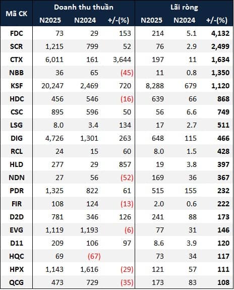 Bao nhiêu doanh nghiệp bất động sản nhà ở cán đích lợi nhuận 2025?