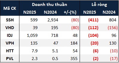 Bao nhiêu doanh nghiệp bất động sản nhà ở cán đích lợi nhuận 2025?