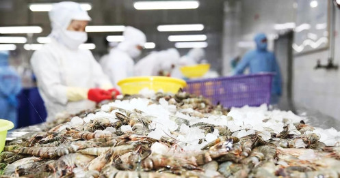 Mỹ giảm mạnh thuế chống bán phá giá với tôm Việt