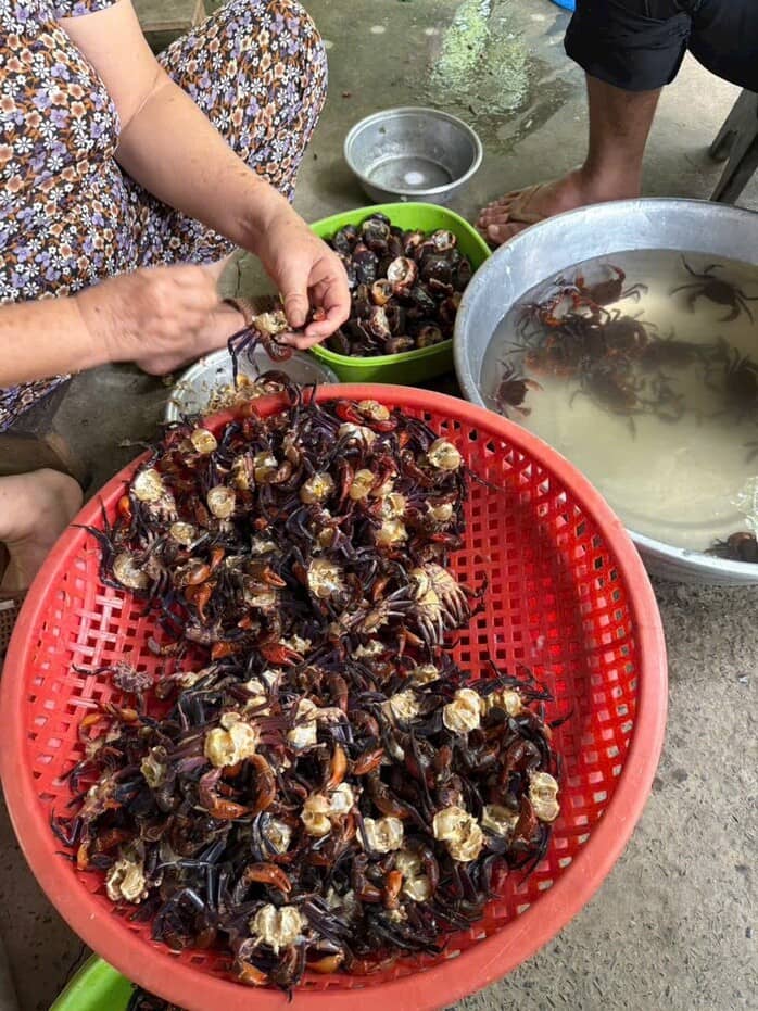 Lý do mắm cua núi giá 800.000 đồng/kg và sự hấp dẫn của đặc sản An Giang