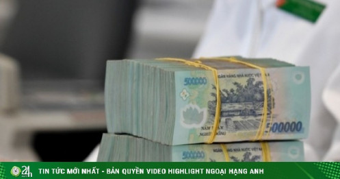 Tưởng bỏ phố là tự do tài chính, 2 năm sau lỗ gần 800 triệu đồng