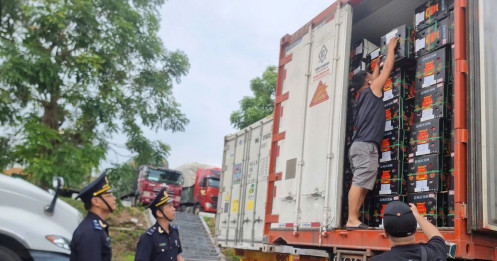 Xuất nhập khẩu sôi động ngay sau Tết