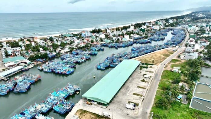 “Thủ phủ” cá ngừ đại dương và những chuyến biển bạc tỉ