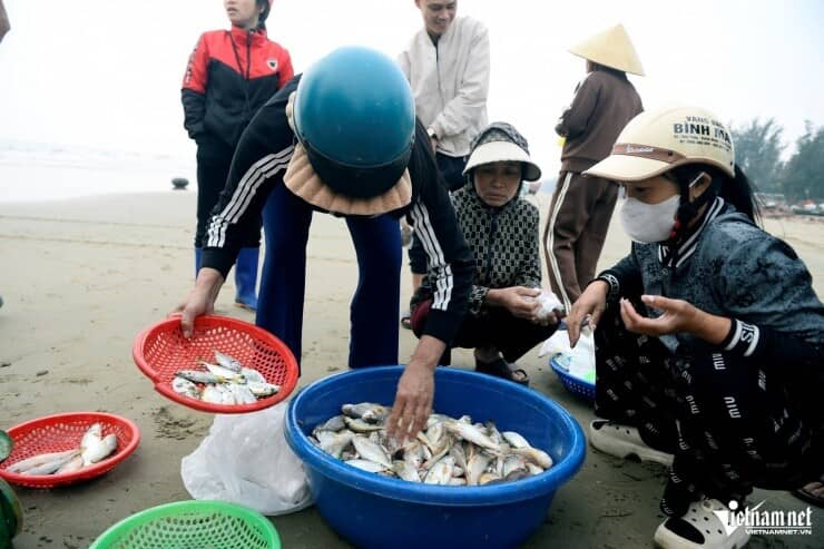 Loài cá thân mềm giá tới 1 triệu đồng/kg 'cháy hàng'