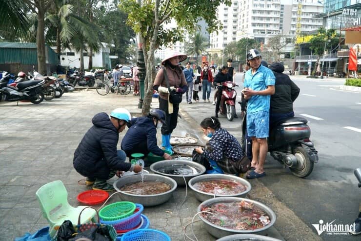Loài cá thân mềm giá tới 1 triệu đồng/kg 'cháy hàng'