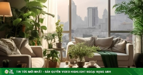 3 dấu hiệu đời thường cho thấy một ngôi nhà đang 'có lộc' và dễ sống
