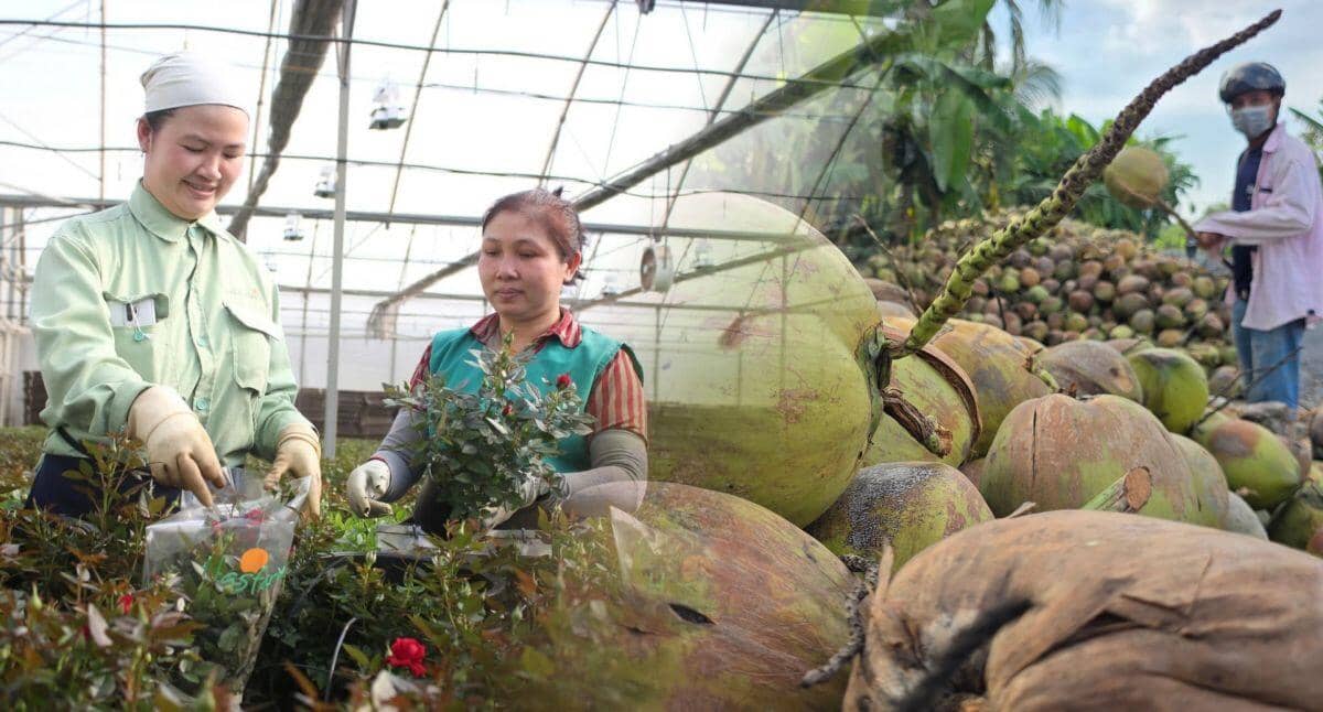 Nông nghiệp 2025: hai nửa sáng- tối phía sau kỷ lục xuất khẩu