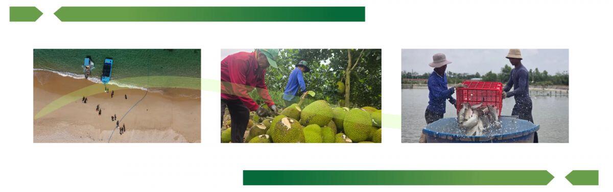 Nông nghiệp 2025: hai nửa sáng- tối phía sau kỷ lục xuất khẩu