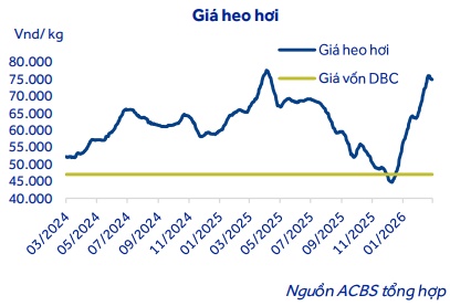 PNJ, DCM và DBC có gì hấp dẫn?