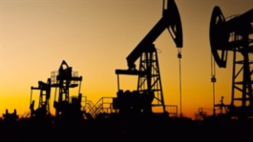 Giá dầu đi ngang chờ diễn biến mới từ đàm phán Mỹ-Iran