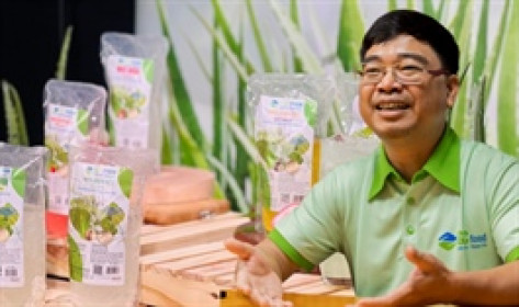 Thị giá GCF giảm hơn 15% từ đầu năm, Chủ tịch muốn bán bớt cổ phần