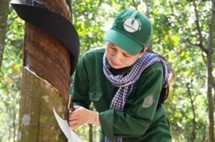 Tập đoàn Cao su Việt Nam đặt mục tiêu doanh thu 2 tỷ USD sau năm 2030