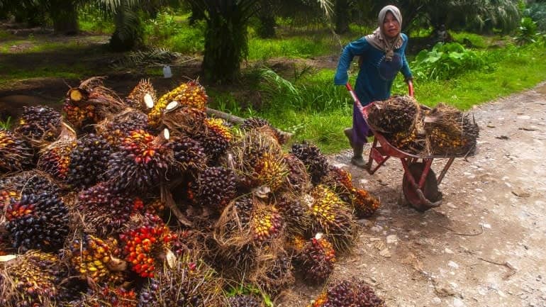 Thế khó của các doanh nghiệp xuất khẩu Đông Nam Á giữa “vùng xám” thuế quan