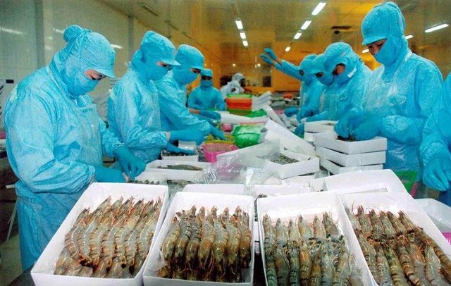 Xuất khẩu tôm năm 2026: Doanh nghiệp cần làm gì để tăng sức cạnh tranh và bứt phá?