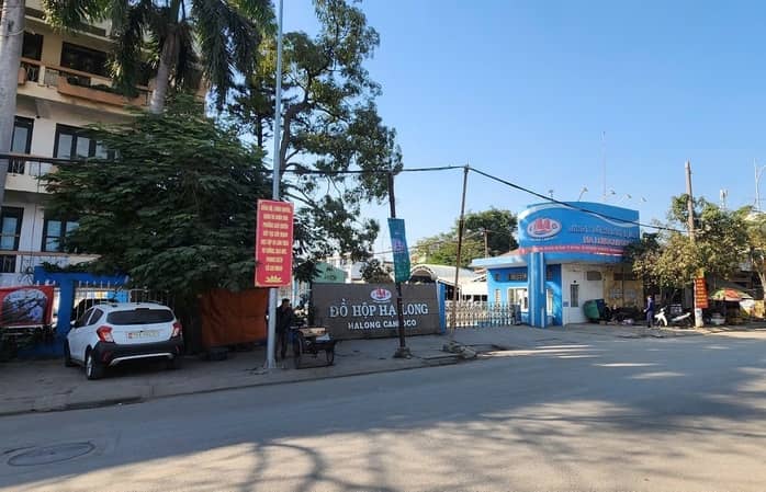 Công ty CP đồ hộp Hạ Long chưa xác định thời gian trở lại hoạt động sản xuất