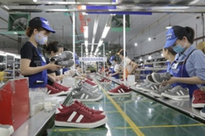 Cổ phiếu Giầy Thượng Đình lập đỉnh 100,000 đồng/cp, trắng bên bán giữa sóng tái cấu trúc thượng tầng