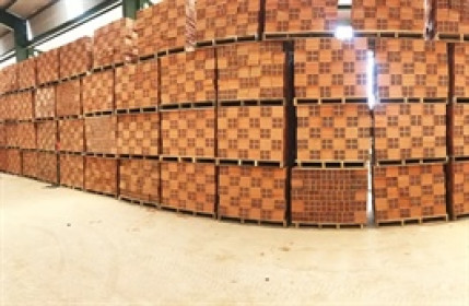 Cổ phiếu công ty gạch ngói Quảng Ninh rời sàn UPCoM