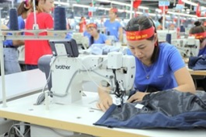 TNG vượt 1,200 tỷ đồng doanh thu 2 tháng đầu năm, cổ phiếu leo đỉnh cũ