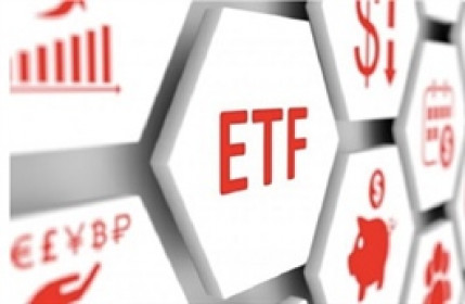 Quỹ ngoại NAV gần 400 triệu USD review quý 1: Thêm FPT và loại GAS, tăng mạnh tỷ trọng VIC