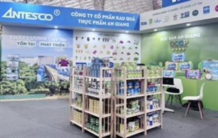 Antesco đề xuất cổ tức 2024 bằng cổ phiếu 20%, tạm ứng tiền mặt tối thiểu 5% năm 2025