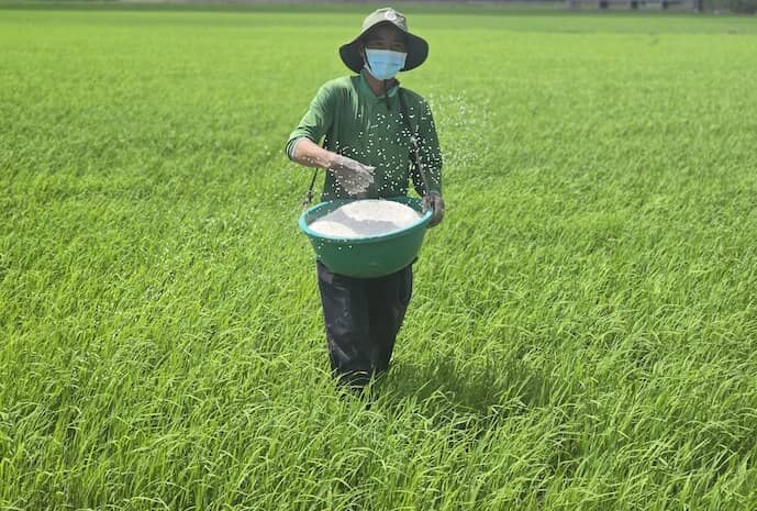 Căng thẳng Trung Đông thổi bùng 'cuộc chiến chi phí' trên đồng ruộng Việt