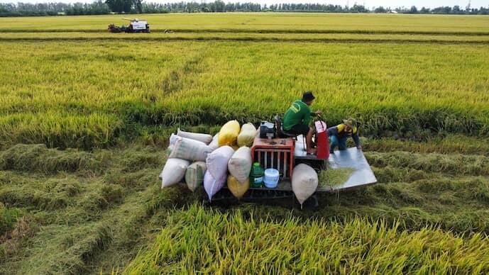 Căng thẳng Trung Đông thổi bùng 'cuộc chiến chi phí' trên đồng ruộng Việt