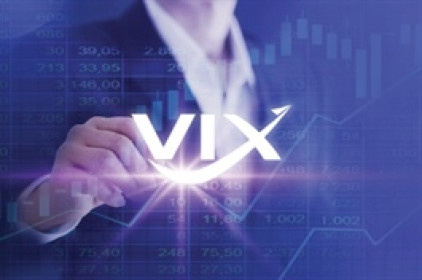 Chứng khoán VIX đã lâu không có cổ đông lớn