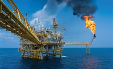 Ngành năng lượng tăng mạnh nhất sàn HOSE trong tháng 2