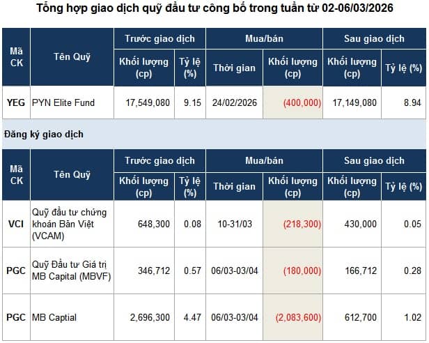 Giao dịch quỹ đầu tư: Lực bán chi phối