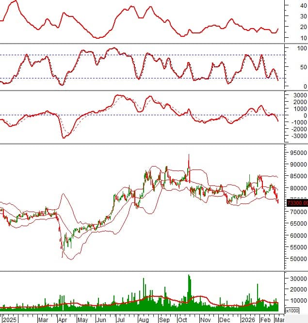VIC và VNM tiến sát vùng hỗ trợ "sinh tử": Cửa sáng nào cho nhà đầu tư?