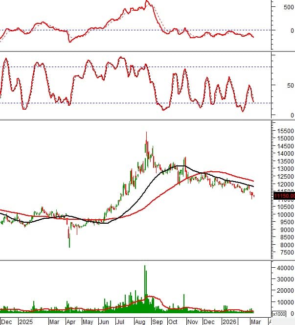 VIC và VNM tiến sát vùng hỗ trợ "sinh tử": Cửa sáng nào cho nhà đầu tư?