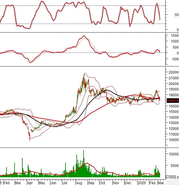 VIC và VNM tiến sát vùng hỗ trợ "sinh tử": Cửa sáng nào cho nhà đầu tư?