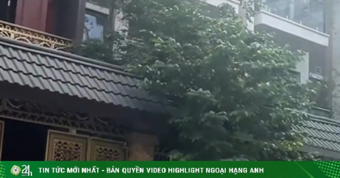 Hà Nội: Bất ngờ trước giá cho thuê biệt thự tại 3 phường Hai Bà Trưng, Bạch Mai và Vĩnh Tuy tháng 3/2026