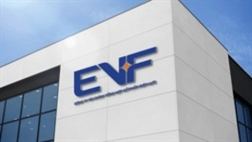 Vượt kế hoạch lợi nhuận 2025, EVF vẫn quyết định không chia cổ tức