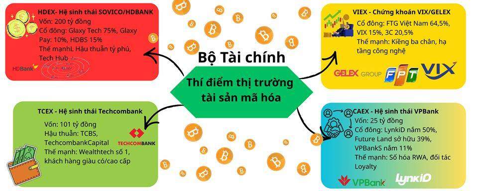 Những “ông lớn” nào đang chiếm ưu thế trong cuộc đua thí điểm tiền mã hoá tại Việt Nam