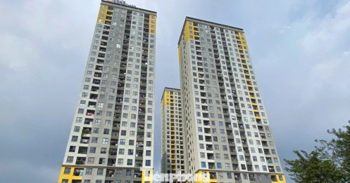 Nhà thương mại giá phù hợp khống chế lợi nhuận tối đa 15%