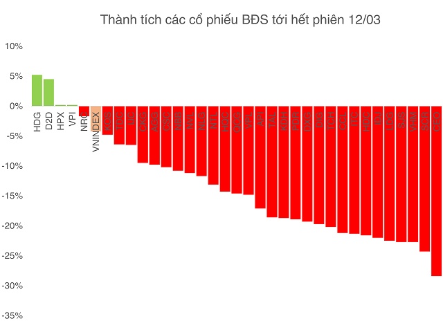 Thị trường điều chỉnh, cổ đông bất động sản chịu nhiều tổn thất