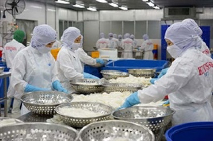 Hãng thủy sản Kiên Hùng sắp chia cổ tức 1,000 đồng/cp