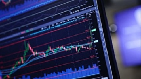 Binh đoàn nhỏ lẻ ồ ạt đặt cược vào giá dầu, nhiều người “mua trước, tìm hiểu sau”