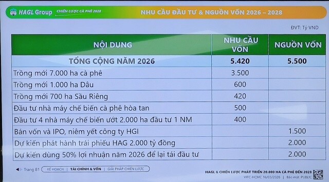 HAG muốn xây dựng vùng trồng cà phê 20,000 ha, IPO công ty con HGI trong năm 2026