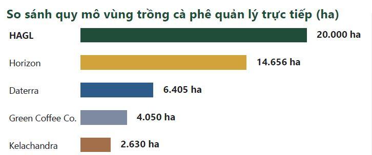 HAG muốn xây dựng vùng trồng cà phê 20,000 ha, IPO công ty con HGI trong năm 2026