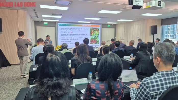 Bầu Đức gác lại kế hoạch nghỉ hưu, đặt tham vọng dẫn đầu thế giới về cà phê