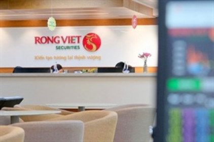 Thị giá VDS tiếp tục điều chỉnh, một tổ chức miệt mài mua gom vượt ngưỡng 20% vốn