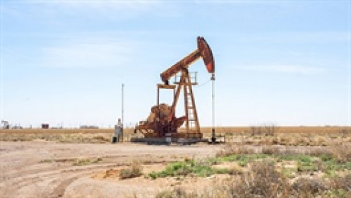 Dầu Brent tăng gần 4%