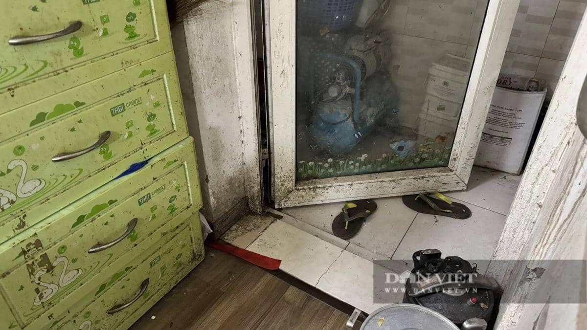 Thực tế căn hộ không sổ, "mốc meo" tại chung cư HH Linh Đàm nhưng được rao bán 3 tỷ đồng
