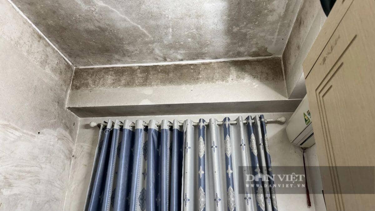 Thực tế căn hộ không sổ, "mốc meo" tại chung cư HH Linh Đàm nhưng được rao bán 3 tỷ đồng
