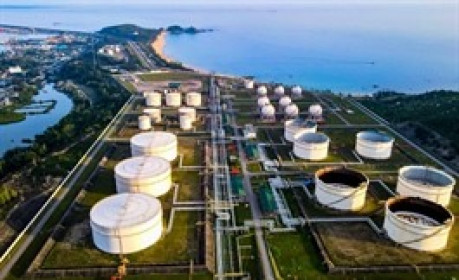 BSR không đáp ứng điều kiện công ty đại chúng, còn 1 năm để giải quyết