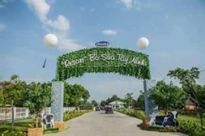 Trang trại bò sữa của VNM ở Tây Ninh tăng gấp đôi quy mô lên 16,000 con, dự kiến vận hành đầu 2028
