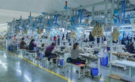 Dệt may TNG lấn sân làm hạ tầng trạm sạc xe điện?