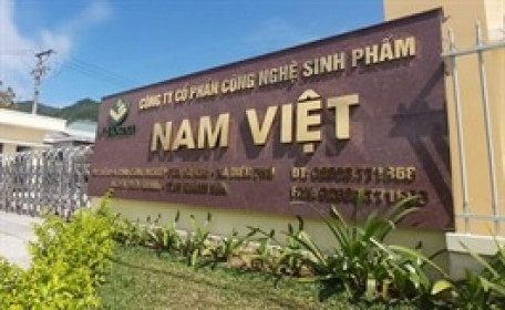 Phó Tổng ANV gom tiếp 1 triệu cổ phiếu